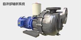 耐酸碱自吸泵