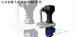 三川宏酸气塔喷淋泵SEC系列20190813