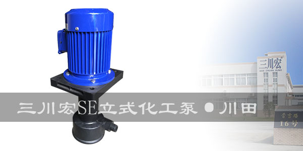 川田环保科技三川宏立式泵SE系列2019